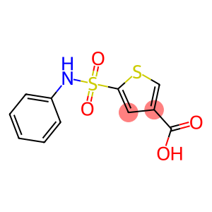 5-(phenylsulfamoyl)thiophene-3-carboxylic acid