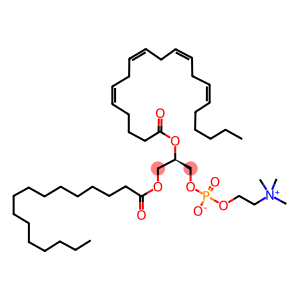 1-PALMITOYL-2-ARACHIDONOYL-SN-GLYCERO-3-PHOSPHATIDYLCHOLINE