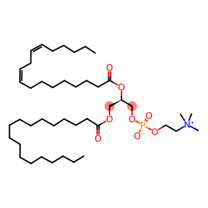 1-STEAROYL-2-LINOLEOYL-SN-GLYCERO-3-PHOSPHOCHOLINE