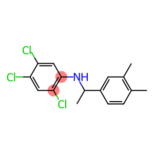 2,4,5-trichloro-N-[1-(3,4-dimethylphenyl)ethyl]aniline
