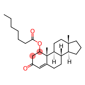 1-Testosterone enanthate