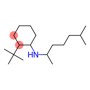 2-tert-butyl-N-(6-methylheptan-2-yl)cyclohexan-1-amine