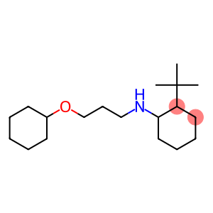 2-tert-butyl-N-[3-(cyclohexyloxy)propyl]cyclohexan-1-amine