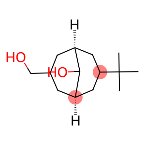 3-tert-butyl-7-(hydroxymethyl)bicyclo[3.3.1]nonan-9-ol