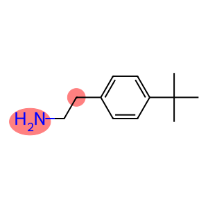 2-(4-tert-butylphenyl)ethanamine