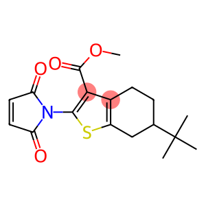 6-tert-Butyl-2-(2,5-dioxo-2,5-dihydro-pyrrol-1-yl)-4,5,6,7-tetrahydro-benzo[b]thiophene-3-carboxylicacidmethylester
