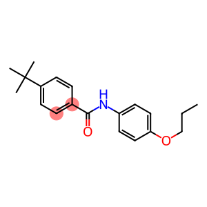 4-(tert-butyl)-N-(4-propoxyphenyl)benzamide