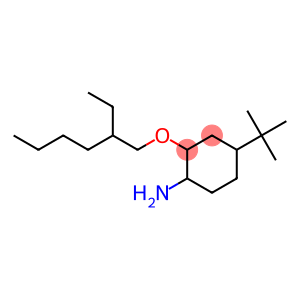 4-tert-butyl-2-[(2-ethylhexyl)oxy]cyclohexan-1-amine