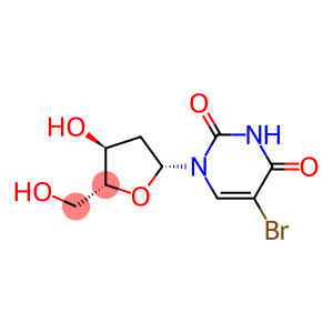ANTI-BROMODEOXYURIDINE (AB-2)