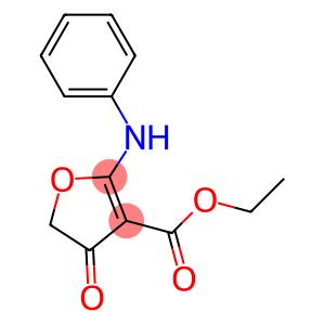 2-Anilino-4,5-dihydro-4-oxofuran-3-carboxylic acid ethyl ester
