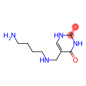 5-(4-Aminobutylaminomethyl)uracil